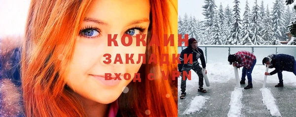 тгк Богородицк