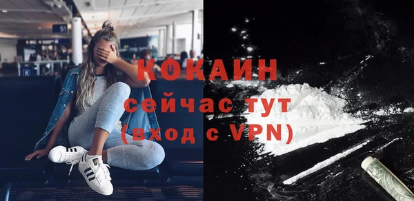 тгк Богородицк