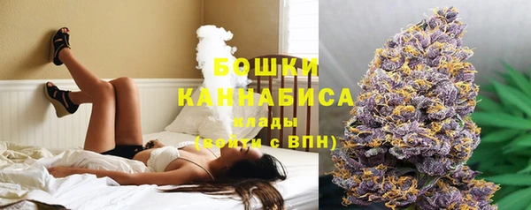 тгк Богородицк