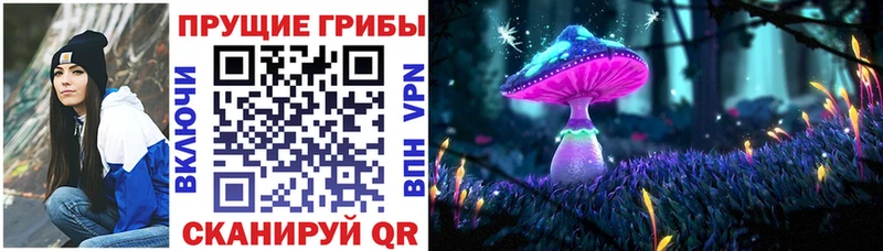 Псилоцибиновые грибы GOLDEN TEACHER  Видное 